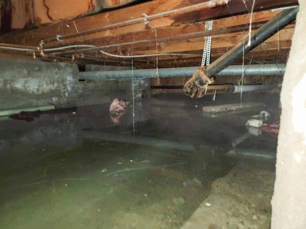 Best Water damage restoration specialists  in Milford, IN