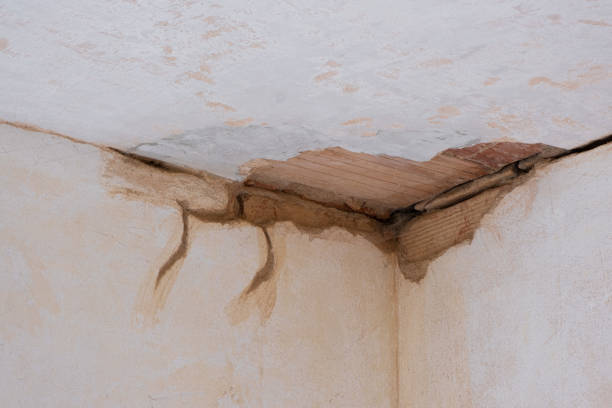 Best Mold removal after water damage  in Milford, IN