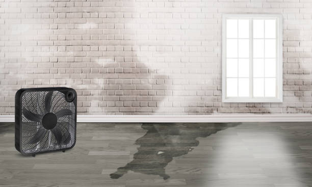 Best Flood restoration services  in Milford, IN
