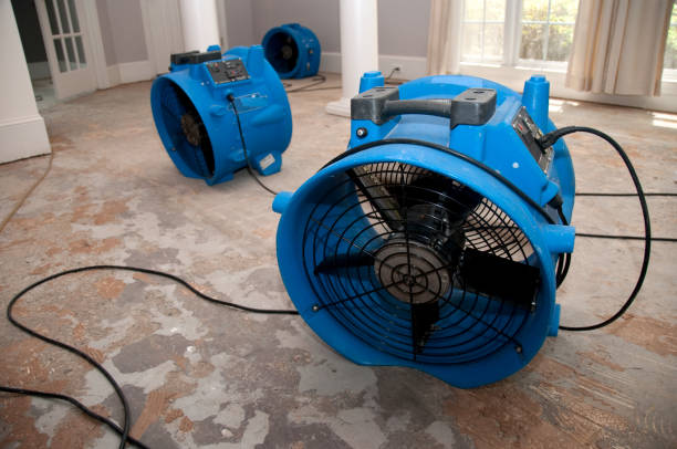 Best Mold removal after water damage  in Milford, IN