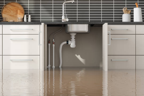 Best Sewage cleanup and water damage restoration  in Milford, IN